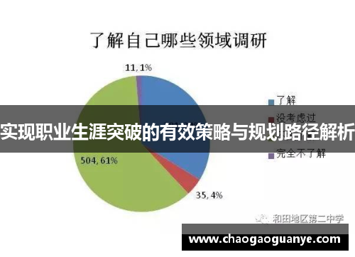 实现职业生涯突破的有效策略与规划路径解析