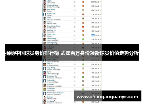 揭秘中国球员身价排行榜 武磊百万身价领衔球员价值走势分析