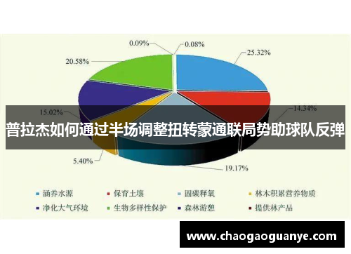 普拉杰如何通过半场调整扭转蒙通联局势助球队反弹