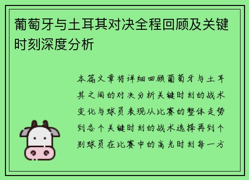 葡萄牙与土耳其对决全程回顾及关键时刻深度分析 葡萄牙与土耳其对决全程回顾及关键时刻深度分析
