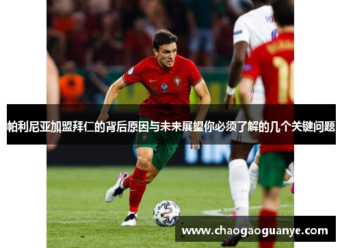 帕利尼亚加盟拜仁的背后原因与未来展望你必须了解的几个关键问题