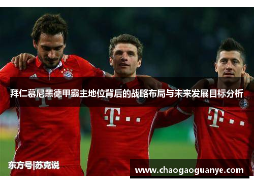 拜仁慕尼黑德甲霸主地位背后的战略布局与未来发展目标分析 拜仁慕尼黑德甲霸主地位背后的战略布局与未来发展目标分析