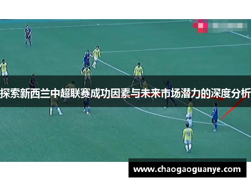 探索新西兰中超联赛成功因素与未来市场潜力的深度分析
