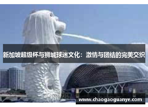 新加坡超级杯与狮城球迷文化：激情与团结的完美交织